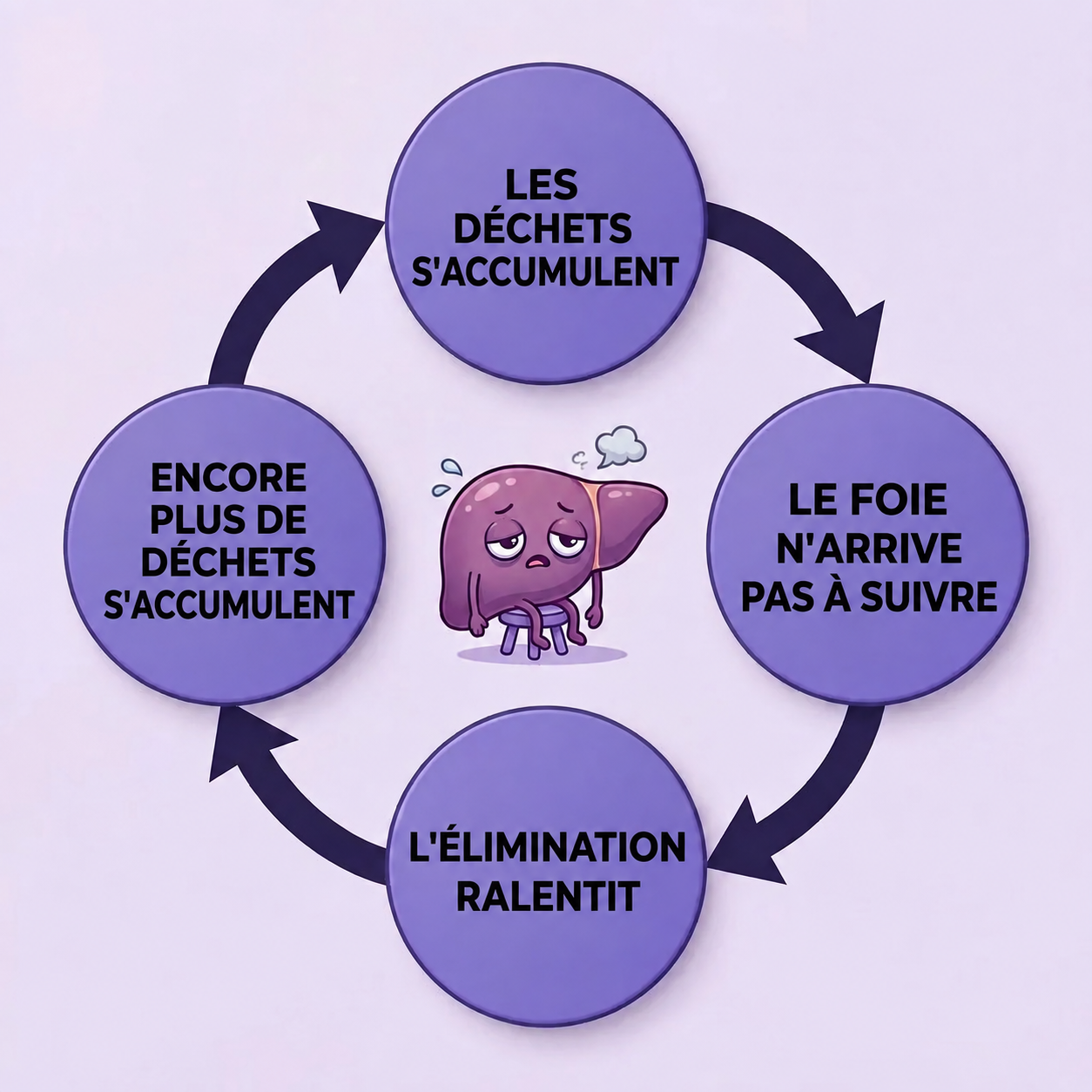 Diagramme du cycle&nbsp;: cellules endommagées → bile ralentie → accumulation de déchets → plus de dommages cellulaires