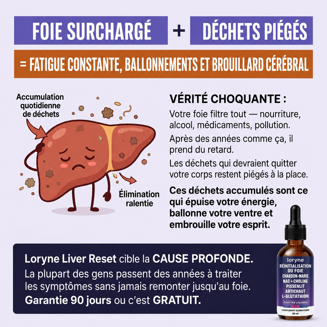 Infographie&nbsp;: dommages aux cellules du foie + baisse du flux biliaire