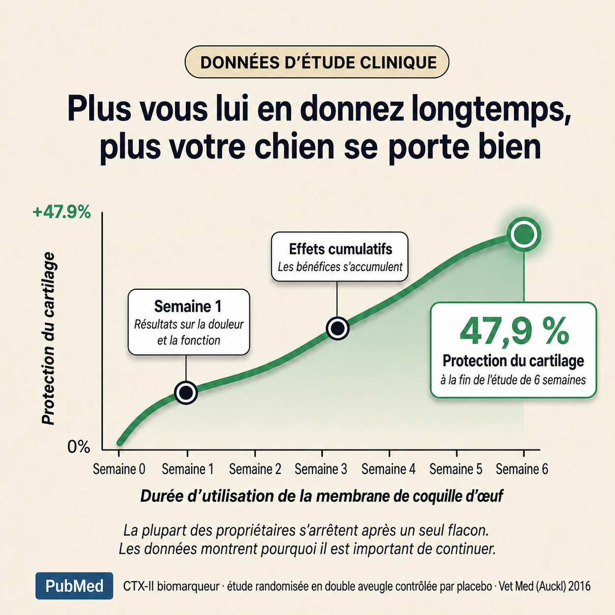 Loryne Bouchées Premium pour la santé des articulations – Formule améliorée