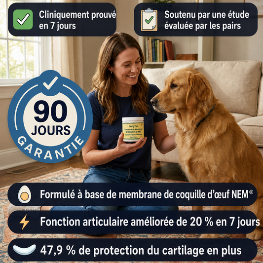 Loryne Bouchées Premium pour la santé des articulations – Formule améliorée