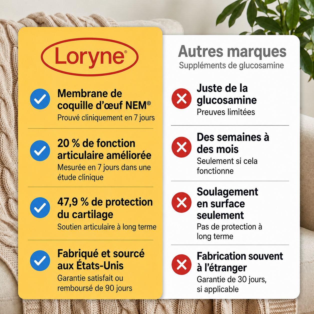 Loryne Bouchées Premium pour la santé des articulations – Formule améliorée