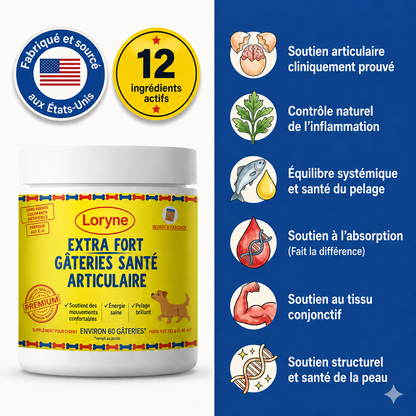 Loryne Bouchées Premium pour la santé des articulations – Formule améliorée