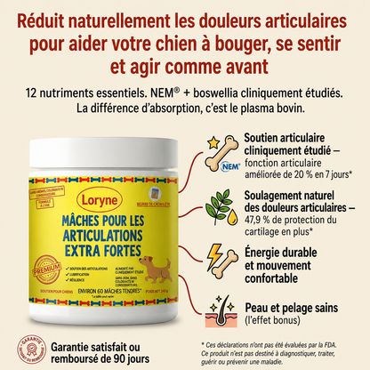 Loryne Bouchées Premium pour la santé des articulations – Formule améliorée