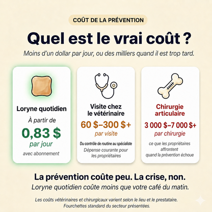 Loryne Bouchées Premium pour la santé des articulations – Formule améliorée
