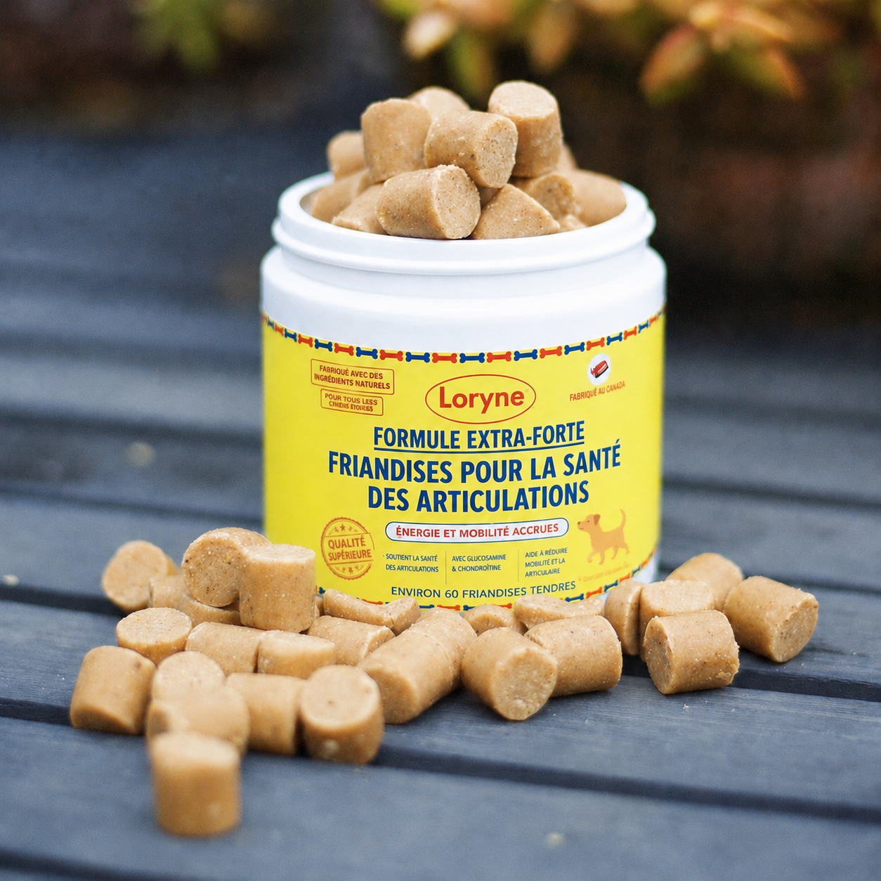 Loryne Bouchées Premium pour la santé des articulations – Formule améliorée