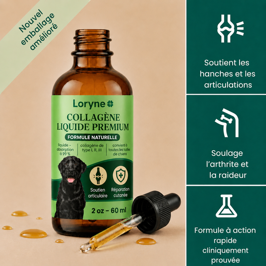 Loryne Collagène Liquide Premium