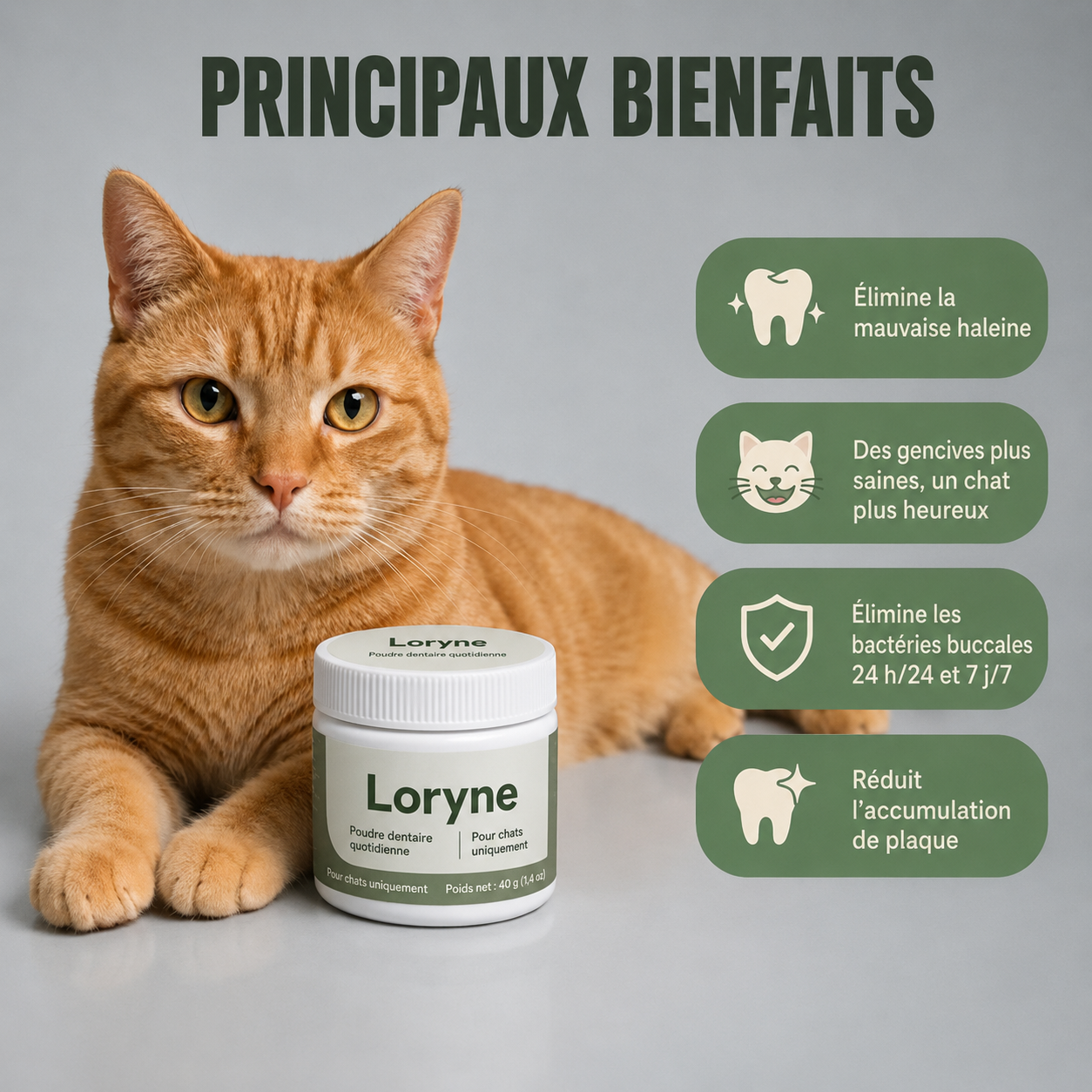 Loryne — Poudre Dentaire pour Chats