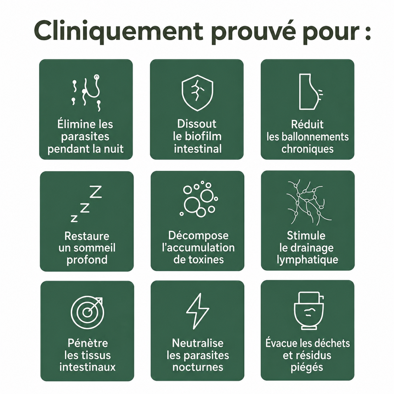 Loryne Formule Méditerranéenne — Triple Défense