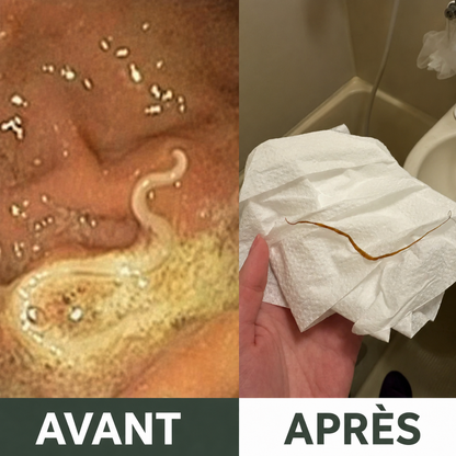 Loryne Formule Méditerranéenne — Triple Défense