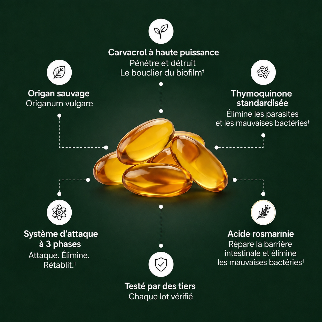 Loryne Formule Méditerranéenne — Triple Défense