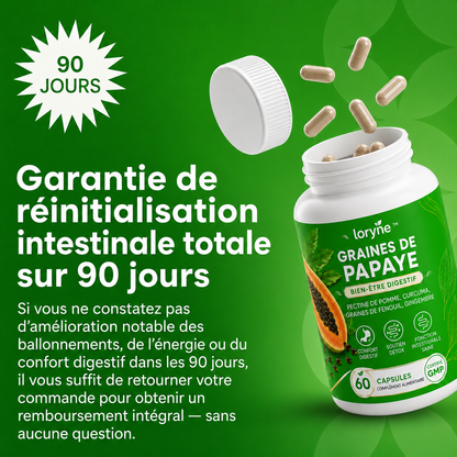Graines de papaye