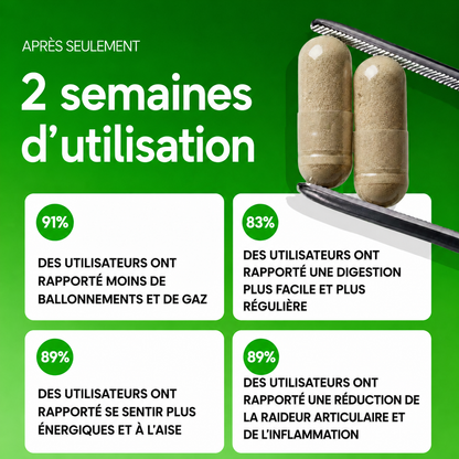 Graines de papaye