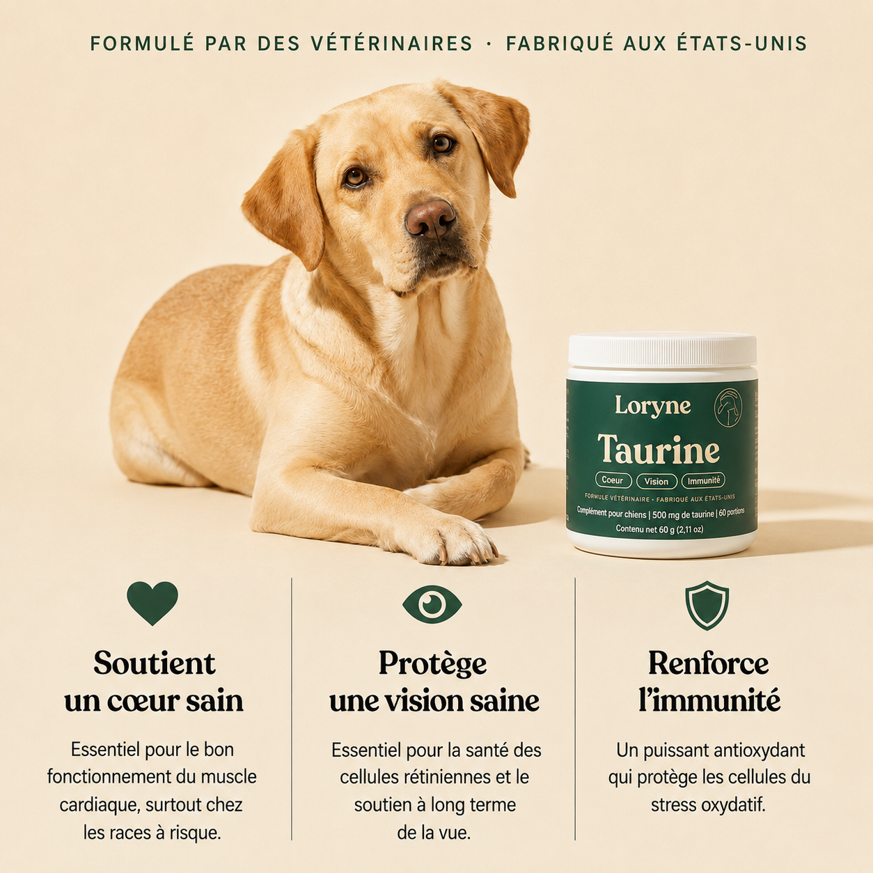 Loryne™ Taurine