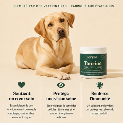 Loryne™ Taurine