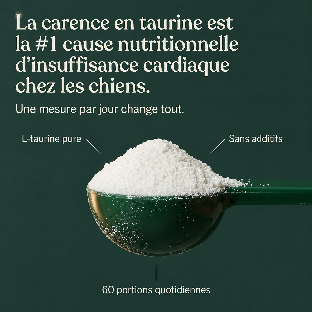 Loryne™ Taurine