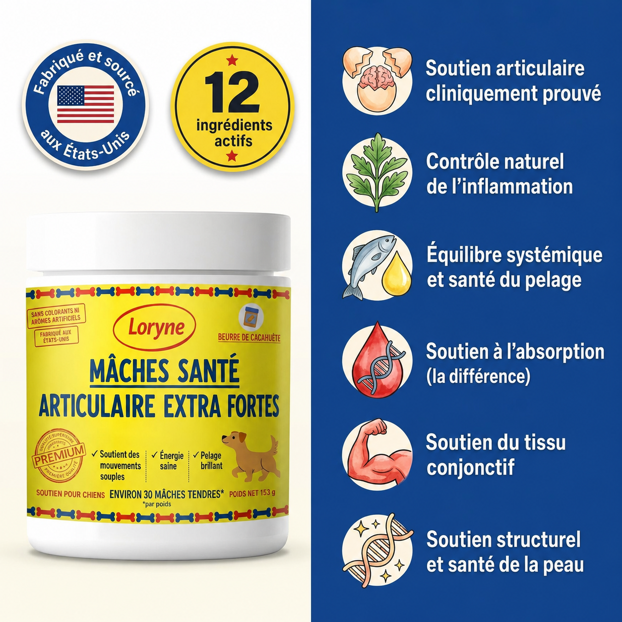 Loryne Bouchées Premium pour la santé des articulations – Formule améliorée
