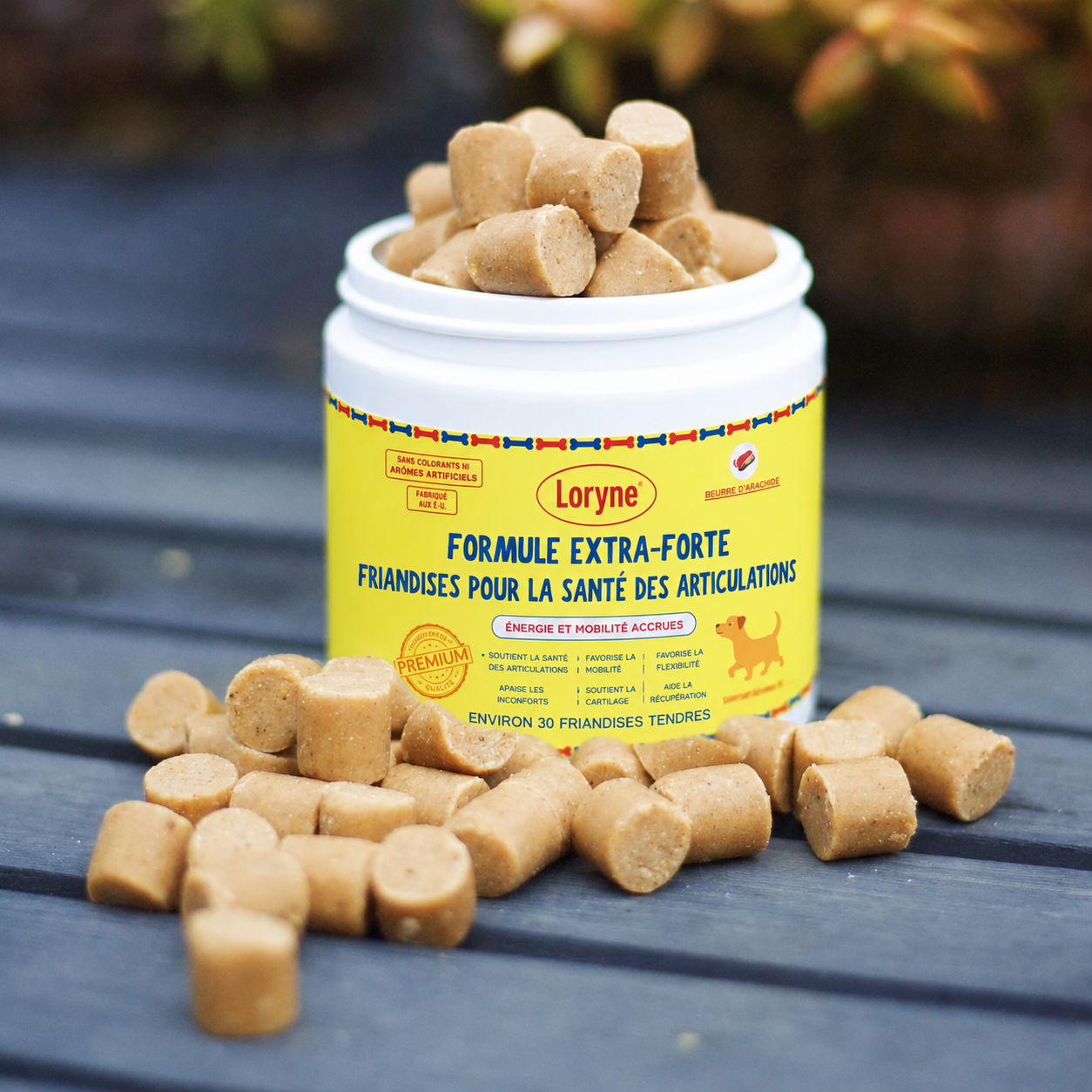 Loryne Bouchées Premium pour la santé des articulations – Formule améliorée