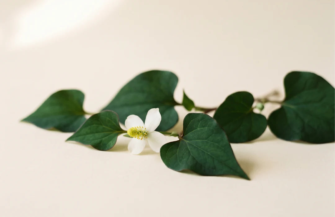 Korean Botanical Complex